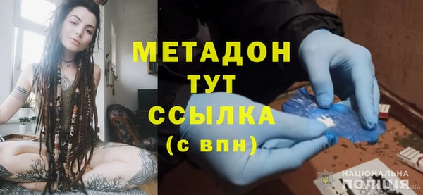 стаф Алзамай