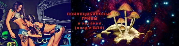 твердый Алексин