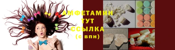 стаф Алзамай