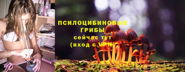 твердый Алексин